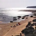 IMG 20220616 135355 scaled